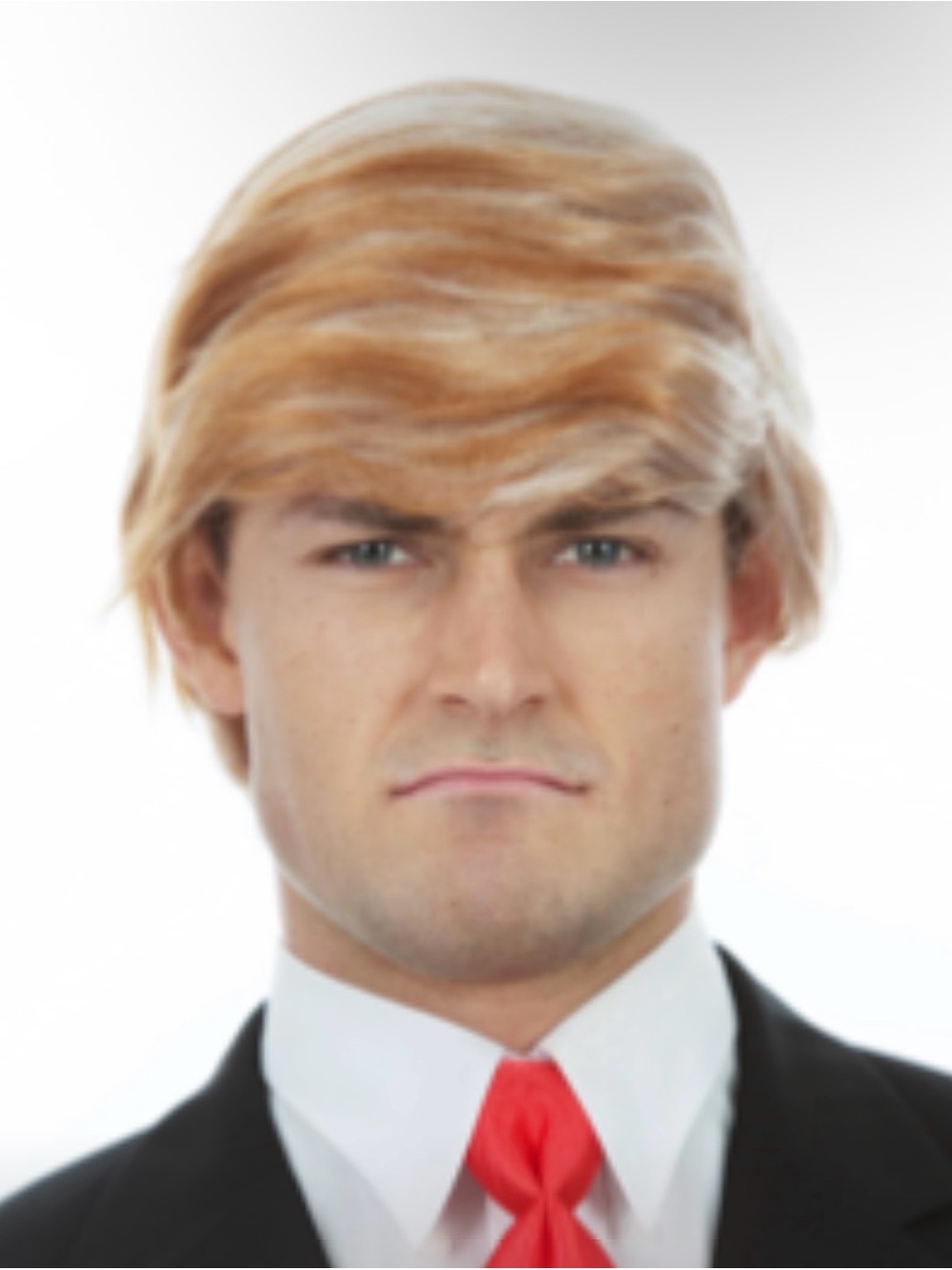 DONALD TRUMP WIG US PRESIDENT MENS COSTUME WIG BY ALLAURA new in package
